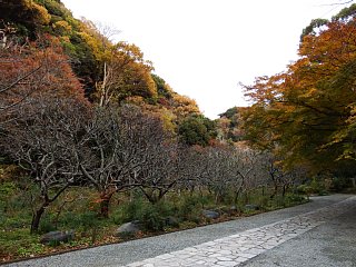 入ってすぐ（１）