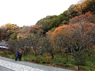 入ってすぐ（２）